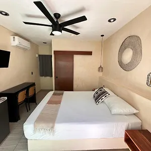 https://isla-caracol.quintano-roohotels.com